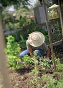 Jean working in the garden.